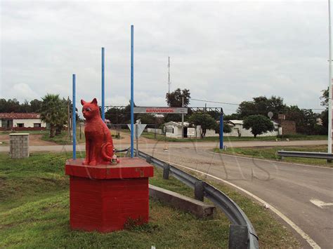 gato colorado santa fe